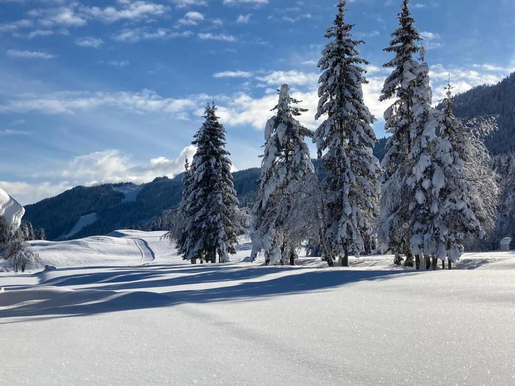 Ferienhof Hoffmann Hotel Weissensee Buitenkant foto